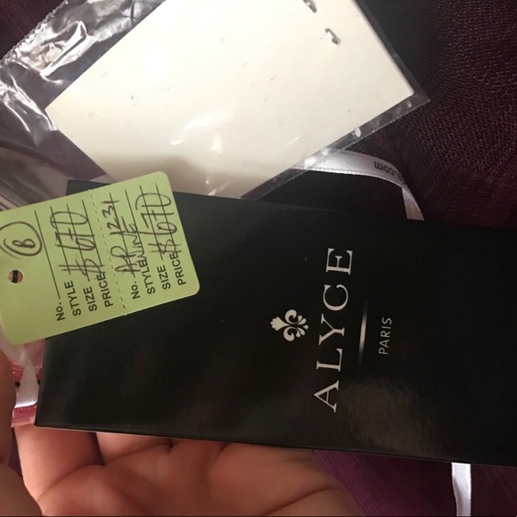 Gorgeous Alyce Paris Prom Dress - Picture 5 of 5